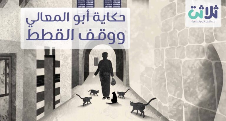  نعم .. هذا الوقف تم بناؤه للقطط ..وقف خارج عن المألوف